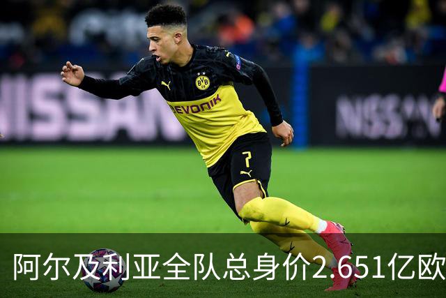 阿尔及利亚全队总身价2.651亿欧，26名球员中马扎的4500万欧最高